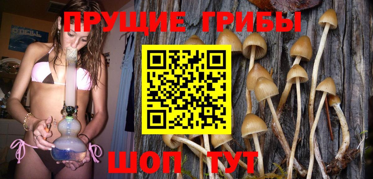 Галлюциногенные грибы Psilocybe  где можно купить наркотик  Рославль  Вход с VPN 