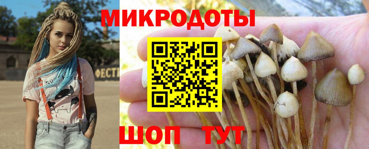 Галлюциногенные грибы ЛСД Рославль